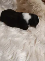 processed/11d7cfb9-c218-419c-8336-d2006f8d0700/listing/e3e904b8-464c-4a92-af9d-34f8e4ee43b3/75edcbee-df2e-43ea-9a65-15c65b896d80