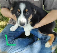 processed/11d7cfb9-c218-419c-8336-d2006f8d0700/listing/e3e904b8-464c-4a92-af9d-34f8e4ee43b3/bc54e95d-9d46-47a7-88a5-6e963387a329