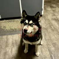 processed/11eb504b-6cae-4dff-92c7-4bccd4437234/facility/5d58953e-8f44-4ac6-bdbf-2707e51e9b61