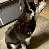 processed/11eb504b-6cae-4dff-92c7-4bccd4437234/facility/aa66071a-8816-4b16-b86d-f43bf5bb16b2