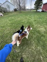 processed/11eb504b-6cae-4dff-92c7-4bccd4437234/facility/c376a520-d965-4eac-aa19-094d181e5701