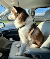 processed/11eb504b-6cae-4dff-92c7-4bccd4437234/facility/ceabaf44-dacf-4fe7-b82a-0535cb0564b5