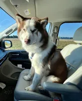 processed/11eb504b-6cae-4dff-92c7-4bccd4437234/facility/fad3bc5d-5976-4d19-a945-d817338fe8f6