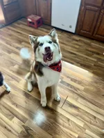 processed/11eb504b-6cae-4dff-92c7-4bccd4437234/listing/584db052-7b94-4661-8375-203657810590/81d1f709-8aee-41d4-adee-c6d80504b7c6