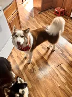 processed/11eb504b-6cae-4dff-92c7-4bccd4437234/listing/584db052-7b94-4661-8375-203657810590/b048f413-ce56-4ef8-9da5-33e0fbadd727