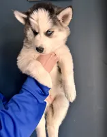 processed/11eb504b-6cae-4dff-92c7-4bccd4437234/listing/584db052-7b94-4661-8375-203657810590/f37b7995-9310-4ed0-be61-5c88fd629a01