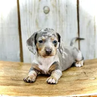 processed/11f58509-375c-48e3-b615-0cb532d3311b/facility/0c13e4b8-6084-4149-aa42-6c76a0f3684d