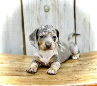 processed/11f58509-375c-48e3-b615-0cb532d3311b/facility/0c13e4b8-6084-4149-aa42-6c76a0f3684d