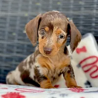 processed/11f58509-375c-48e3-b615-0cb532d3311b/facility/39682129-5f8b-4ac4-a70f-2c2b24ee1f42