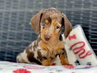 processed/11f58509-375c-48e3-b615-0cb532d3311b/facility/39682129-5f8b-4ac4-a70f-2c2b24ee1f42