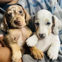 processed/11f58509-375c-48e3-b615-0cb532d3311b/facility/4c076c8c-7679-490b-ac13-086a0d050900