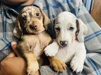 processed/11f58509-375c-48e3-b615-0cb532d3311b/facility/4c076c8c-7679-490b-ac13-086a0d050900