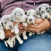 processed/11f58509-375c-48e3-b615-0cb532d3311b/facility/5e4b89d5-6cb2-4ad8-af46-f3c092e08f87