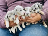 processed/11f58509-375c-48e3-b615-0cb532d3311b/facility/5e4b89d5-6cb2-4ad8-af46-f3c092e08f87