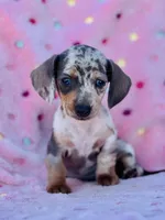 processed/11f58509-375c-48e3-b615-0cb532d3311b/facility/6f034da4-8232-4741-9ae3-fa840785cdd8