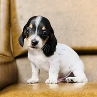 processed/11f58509-375c-48e3-b615-0cb532d3311b/facility/74d458d9-0337-4858-b204-8869bf48906f