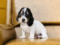 processed/11f58509-375c-48e3-b615-0cb532d3311b/facility/74d458d9-0337-4858-b204-8869bf48906f