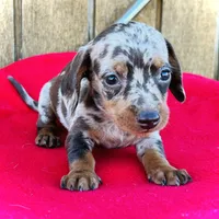 processed/11f58509-375c-48e3-b615-0cb532d3311b/facility/898ae049-9a95-4a20-b861-fe8c652f9c89