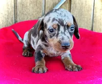 processed/11f58509-375c-48e3-b615-0cb532d3311b/facility/898ae049-9a95-4a20-b861-fe8c652f9c89