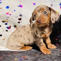 processed/11f58509-375c-48e3-b615-0cb532d3311b/facility/d0dbfbc7-8585-4979-8f73-590004230b34