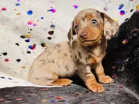 processed/11f58509-375c-48e3-b615-0cb532d3311b/facility/d0dbfbc7-8585-4979-8f73-590004230b34