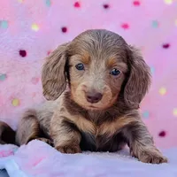 processed/11f58509-375c-48e3-b615-0cb532d3311b/facility/f436d465-d5dd-4248-bb0d-e5159bac80f2