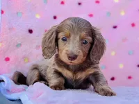 processed/11f58509-375c-48e3-b615-0cb532d3311b/facility/f436d465-d5dd-4248-bb0d-e5159bac80f2