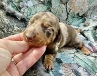 processed/11f58509-375c-48e3-b615-0cb532d3311b/listing/dd80208a-ac65-46c4-a938-d5439b8b08dd/543b1725-9802-4549-9bf5-ba6e8e1493af