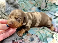 processed/11f58509-375c-48e3-b615-0cb532d3311b/listing/dd80208a-ac65-46c4-a938-d5439b8b08dd/acf3a240-7e69-448b-98b5-5eeea1b639bb