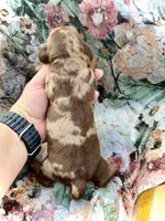 processed/11f58509-375c-48e3-b615-0cb532d3311b/listing/dd80208a-ac65-46c4-a938-d5439b8b08dd/b21a02c2-3c99-4e73-97ce-eec86c8fa484