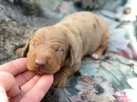 processed/11f58509-375c-48e3-b615-0cb532d3311b/listing/ed459dfd-c77e-4eb7-a167-7d7a6e23ea2d/90183878-d099-4e16-a964-24d081c4a341