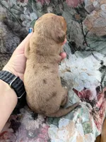 processed/11f58509-375c-48e3-b615-0cb532d3311b/listing/ed459dfd-c77e-4eb7-a167-7d7a6e23ea2d/9e307445-6941-432c-91b3-8498f1af2325