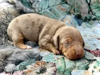 processed/11f58509-375c-48e3-b615-0cb532d3311b/listing/ed459dfd-c77e-4eb7-a167-7d7a6e23ea2d/db149c93-d0b9-4ab3-9c01-0c99cb790483