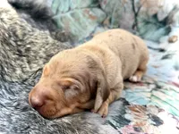 processed/11f58509-375c-48e3-b615-0cb532d3311b/listing/ed459dfd-c77e-4eb7-a167-7d7a6e23ea2d/e4fb7f09-c12a-4106-97d2-12b075055ca1