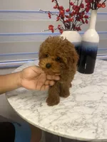 Facility photo