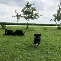 processed/12046e5c-7af3-4540-b725-59b904c59e8c/facility/23934c08-bf12-42ce-aac1-bb0d56e99bc3