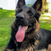 processed/12046e5c-7af3-4540-b725-59b904c59e8c/facility/2815fa31-9636-415e-90e5-389c5acb4756