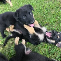 processed/12046e5c-7af3-4540-b725-59b904c59e8c/facility/2afd6ce4-fd62-451d-800c-d73218c3e2bf