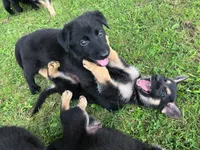 processed/12046e5c-7af3-4540-b725-59b904c59e8c/facility/2afd6ce4-fd62-451d-800c-d73218c3e2bf