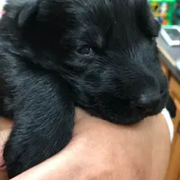 processed/12046e5c-7af3-4540-b725-59b904c59e8c/facility/356b4301-8ea7-428e-908a-89af2052581d