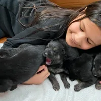 processed/12046e5c-7af3-4540-b725-59b904c59e8c/facility/4d8cc53e-c764-4fe6-9888-b9a04f63357c