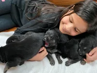 processed/12046e5c-7af3-4540-b725-59b904c59e8c/facility/4d8cc53e-c764-4fe6-9888-b9a04f63357c