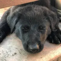 processed/12046e5c-7af3-4540-b725-59b904c59e8c/facility/7b9cd8fc-b0e8-474d-b435-9958fcd6c56a