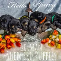 processed/12046e5c-7af3-4540-b725-59b904c59e8c/facility/860eb37f-1e18-4c9e-bcb0-f0968eda51cd