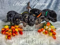 processed/12046e5c-7af3-4540-b725-59b904c59e8c/facility/860eb37f-1e18-4c9e-bcb0-f0968eda51cd