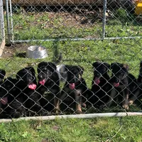 processed/12046e5c-7af3-4540-b725-59b904c59e8c/facility/9aee1f36-f5c6-4bcd-aa86-1995f64d554e