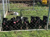 processed/12046e5c-7af3-4540-b725-59b904c59e8c/facility/9aee1f36-f5c6-4bcd-aa86-1995f64d554e