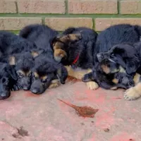 processed/12046e5c-7af3-4540-b725-59b904c59e8c/facility/fe079724-a790-4b06-b519-3dd2c3ba317f