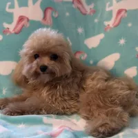 processed/1207acc4-d47b-4737-a376-b6cf390585c4/facility/0010cce8-e56e-42f8-865b-5b208ed220c4