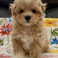 processed/1207acc4-d47b-4737-a376-b6cf390585c4/facility/34a51422-9fce-4a36-82f7-69e1b31fbd49